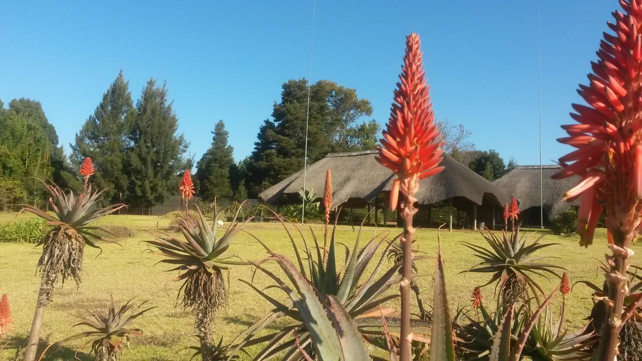 African Flair Country Lodge Piet Retief Buitenkant foto