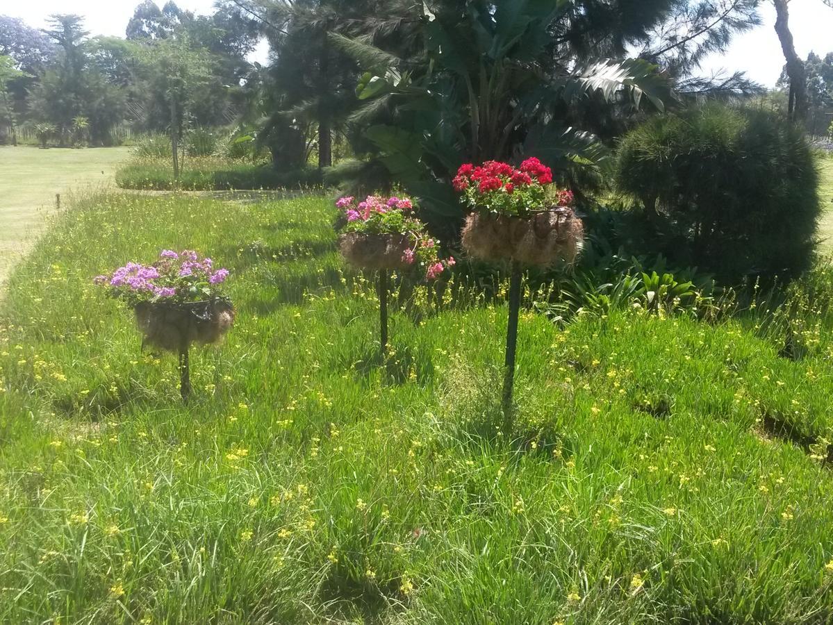 African Flair Country Lodge Piet Retief Buitenkant foto