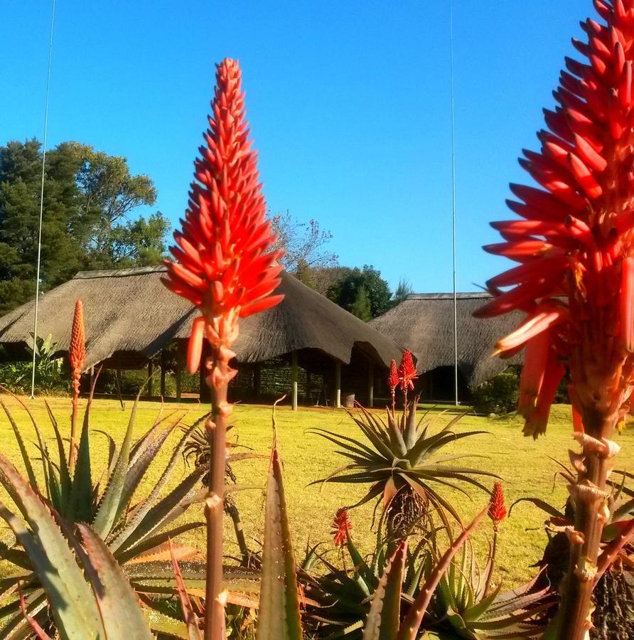 African Flair Country Lodge Piet Retief Buitenkant foto