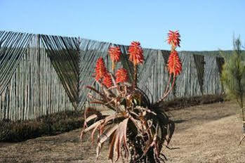 African Flair Country Lodge Piet Retief Buitenkant foto