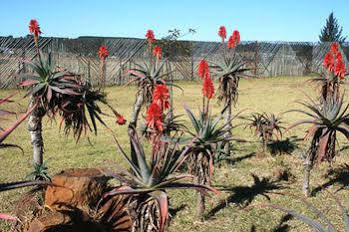 African Flair Country Lodge Piet Retief Buitenkant foto