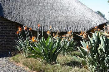 African Flair Country Lodge Piet Retief Buitenkant foto